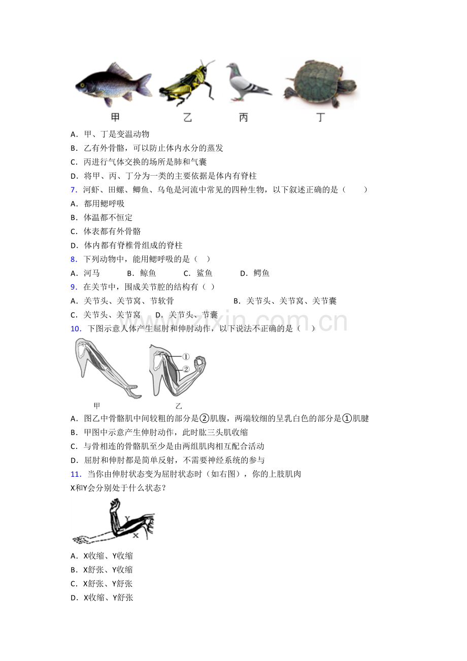 初二上册期末生物综合试卷解析(一)[001].doc_第2页