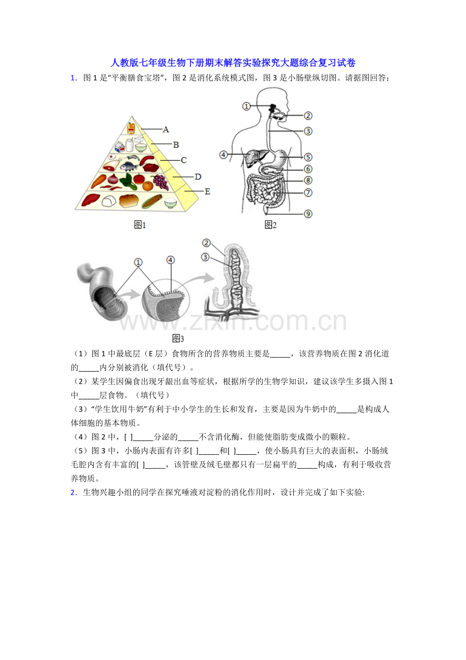 人教版七年级生物下册期末解答实验探究大题综合复习试卷.doc_第1页