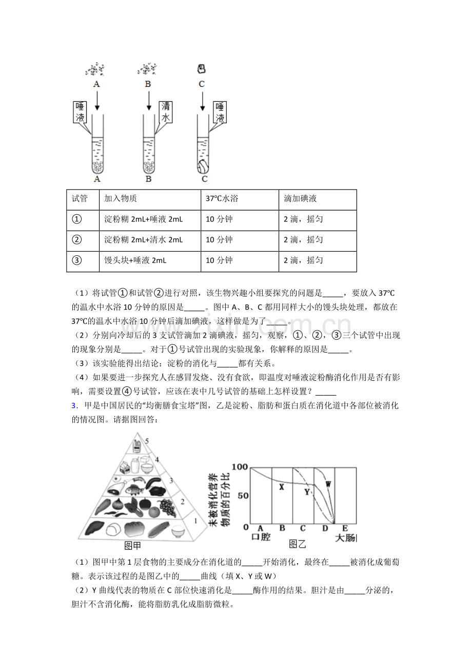 人教版七年级生物下册期末解答实验探究大题综合复习试卷.doc_第2页