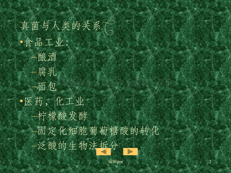 大学微生物复习第2章真核微生物.ppt_第2页