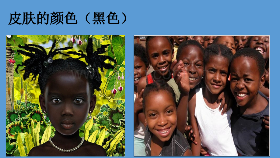 儿童科普皮肤.ppt_第2页