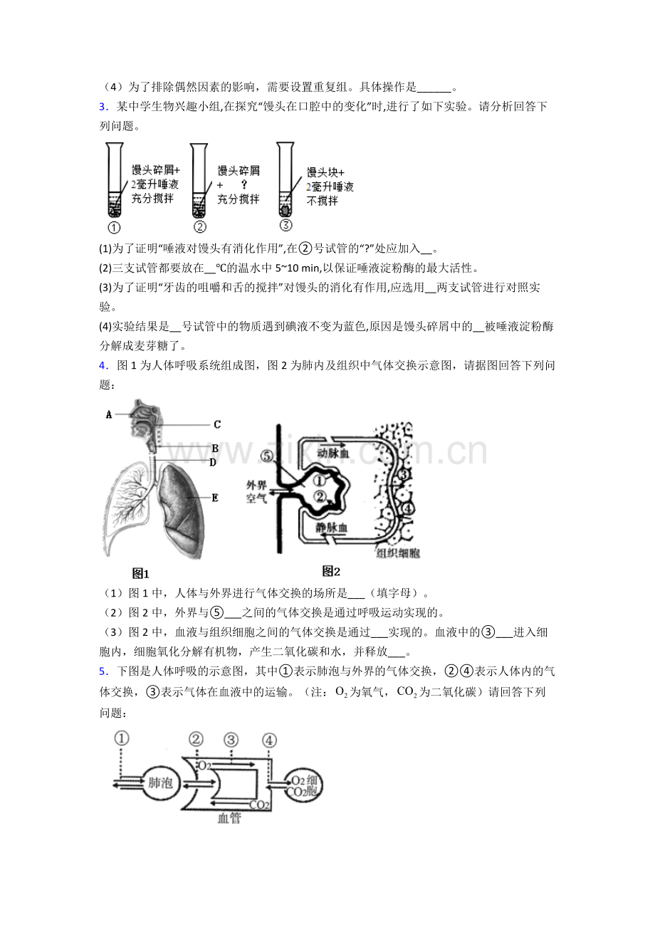 人教版初一下册生物期末解答实验探究大题复习试卷(附解析).doc_第2页