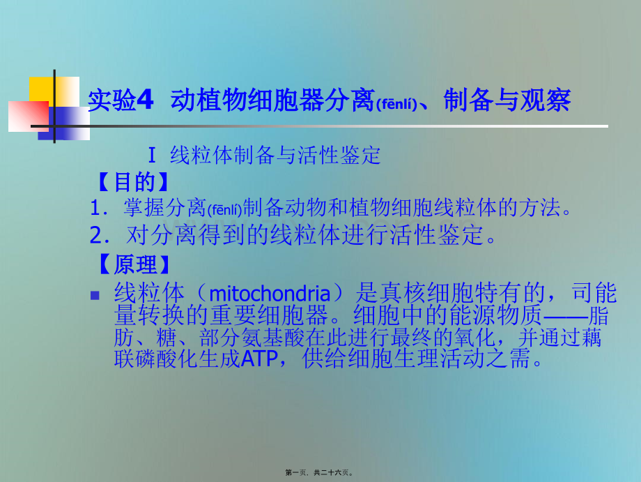 动植物细胞器离心法分离.ppt_第1页