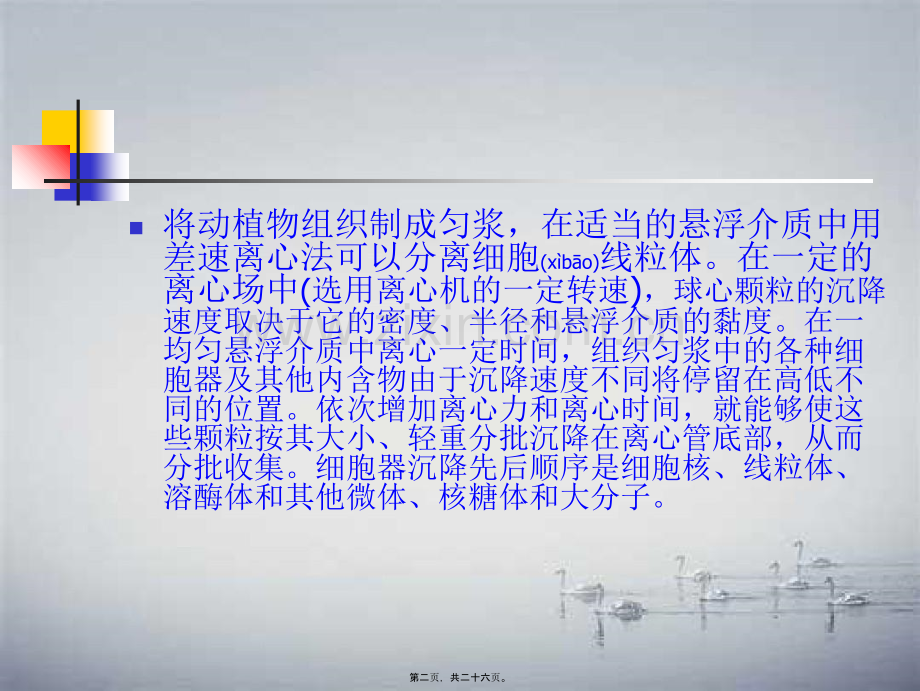 动植物细胞器离心法分离.ppt_第2页