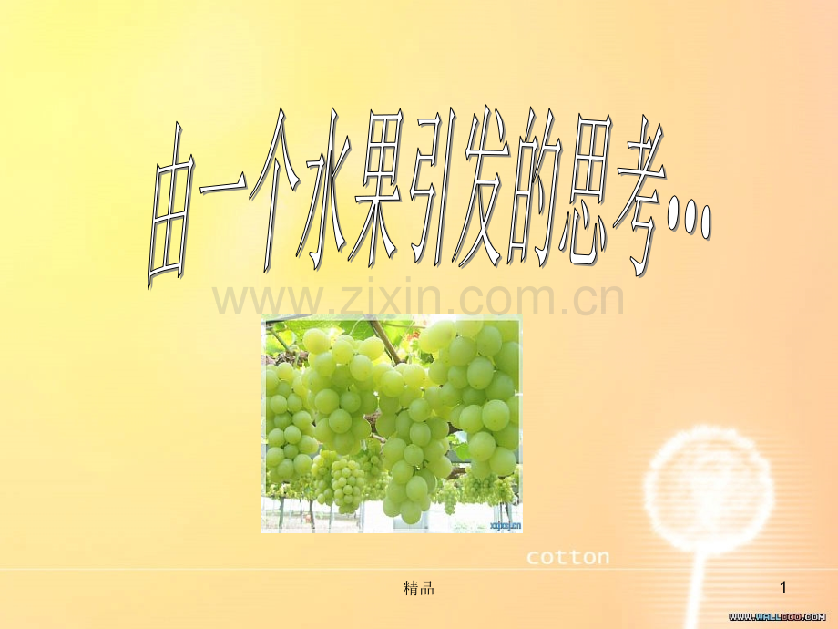 糖尿病水果饮食.ppt_第1页