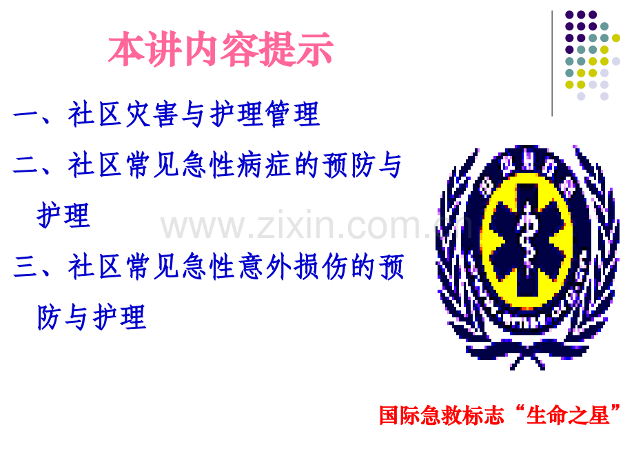 社区灾害与急救.ppt_第2页