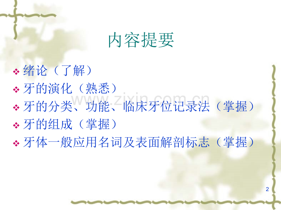 口腔生理解剖牙体解剖.ppt_第2页
