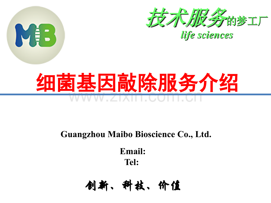 细菌基因敲除技术资料.ppt_第1页