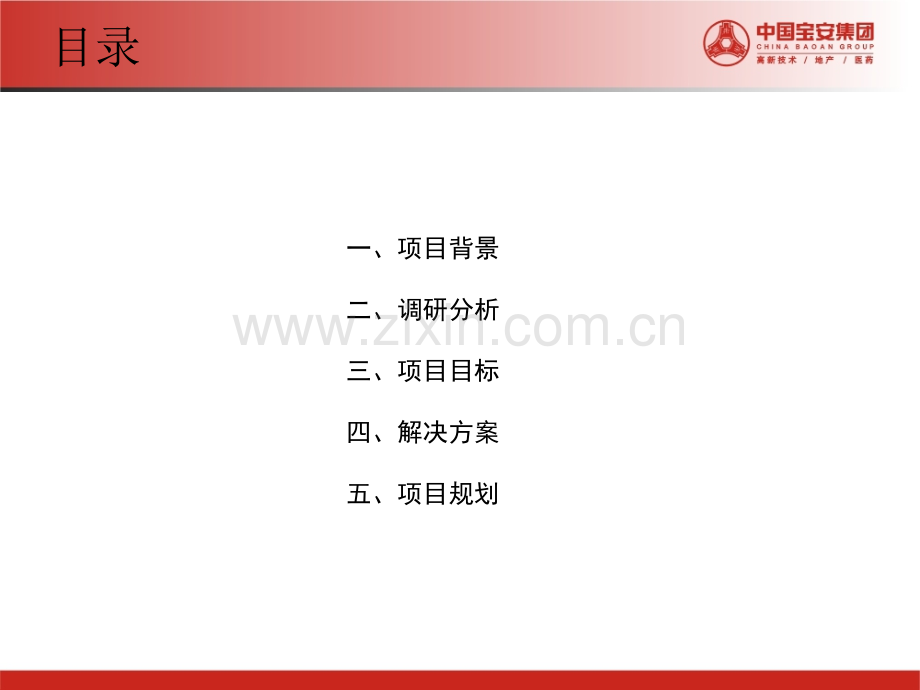 拜特四定项目诊断与实施报告.pptx_第2页