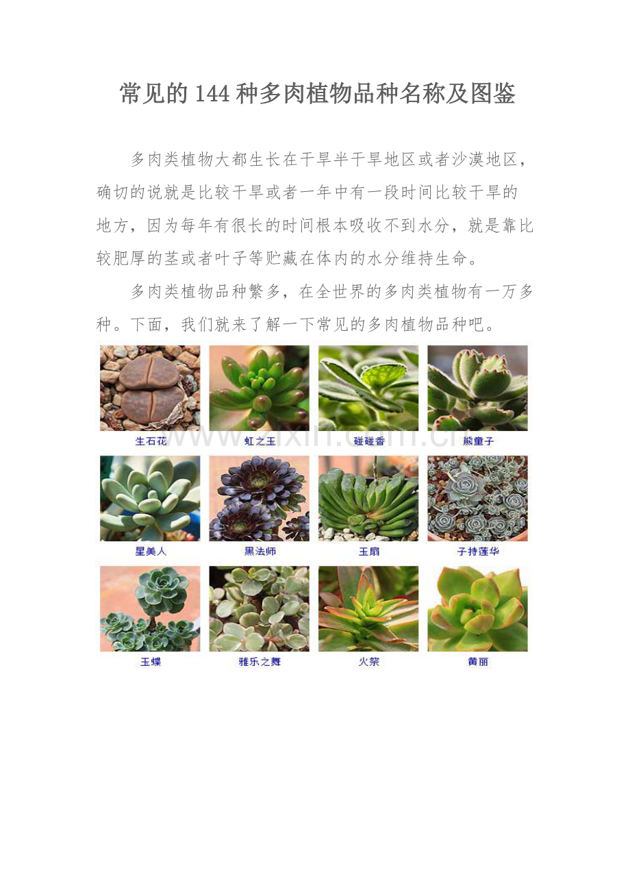 常见144种多肉植物品种名称及图鉴.docx_第1页
