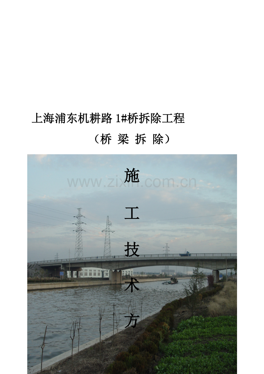 变截面箱梁拆除方案.doc_第2页