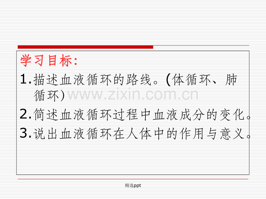 血液循环的路线.ppt_第2页