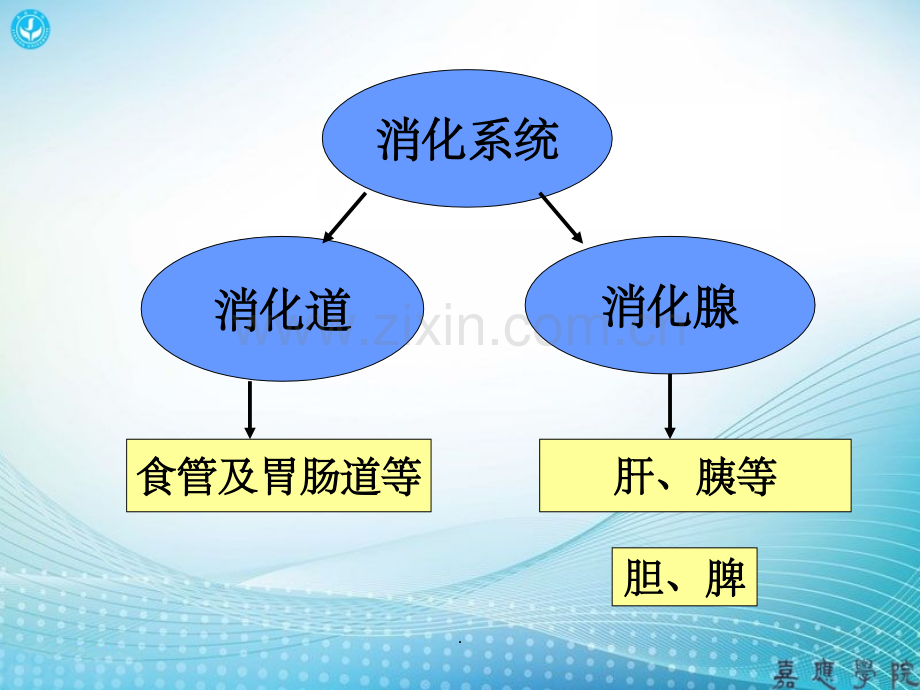 肝脏影像学表现.ppt_第2页