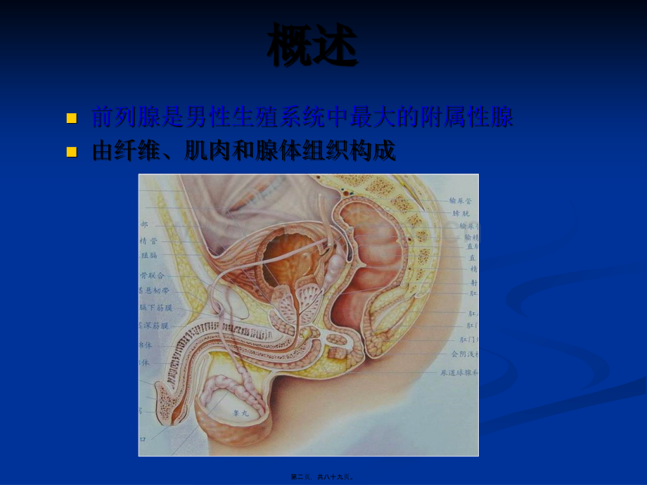 前列腺的MR检查.pptx_第1页