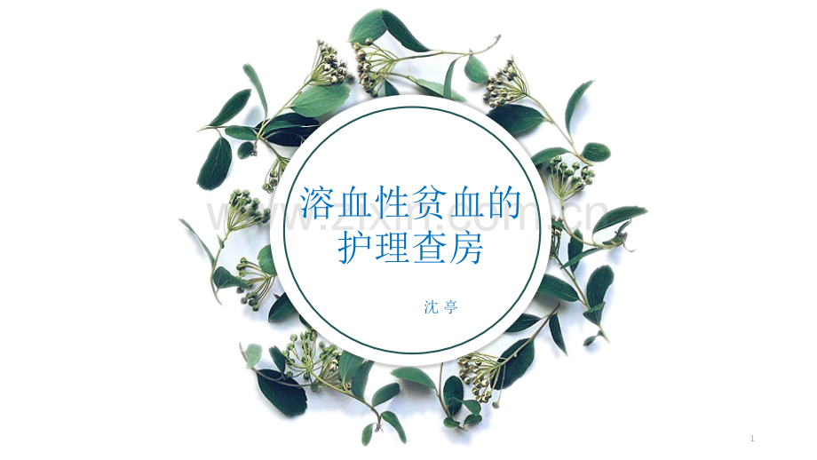 溶血性贫血的护理查房+V1.0[1].ppt_第1页