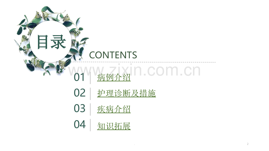 溶血性贫血的护理查房+V1.0[1].ppt_第2页
