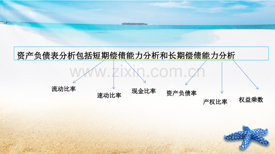 偿债能力分析.pptx_第2页