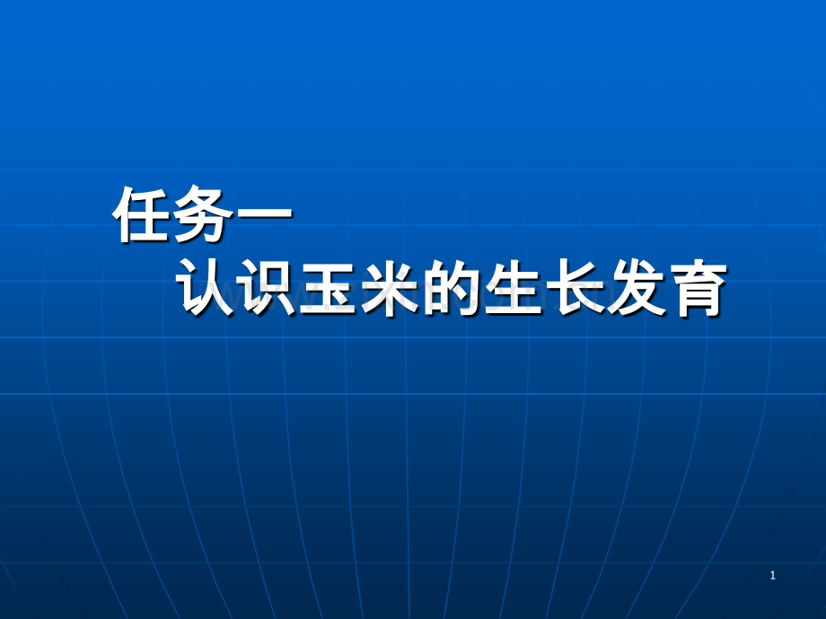 认识玉米的生长发育.ppt_第1页