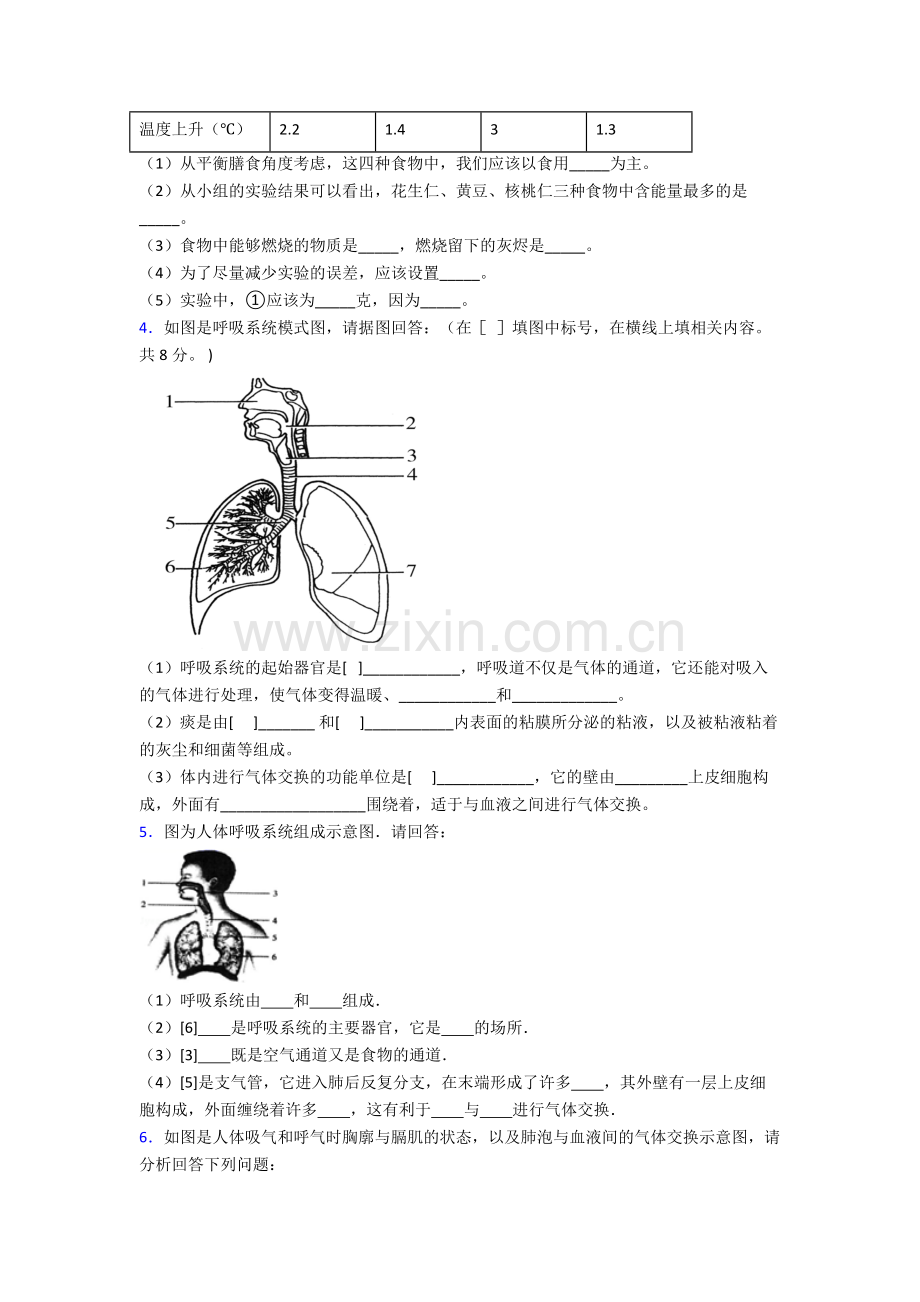 人教版中学初一下册生物期末解答实验探究大题质量检测题(附答案).doc_第2页