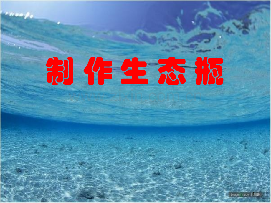 制作生态瓶.ppt_第1页