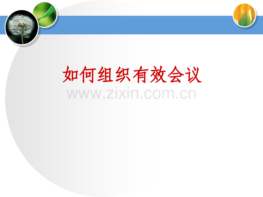 如何组织和开展会议.ppt_第1页