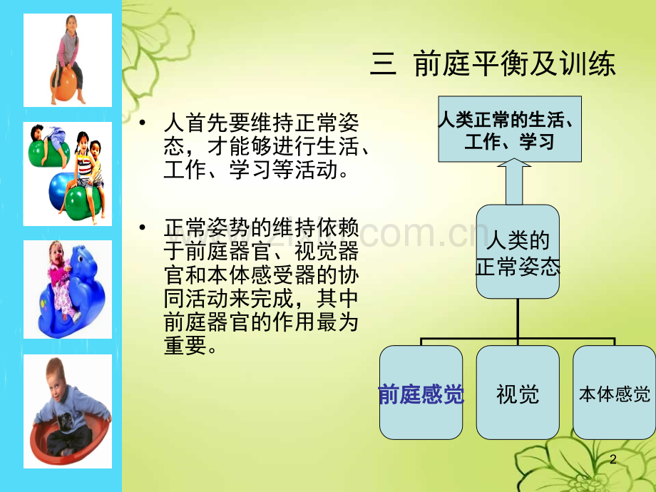 前庭平衡及训练.ppt_第2页