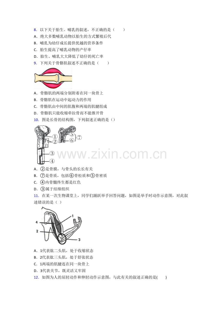 初二上学期期末模拟生物综合检测试题带答案.doc_第2页
