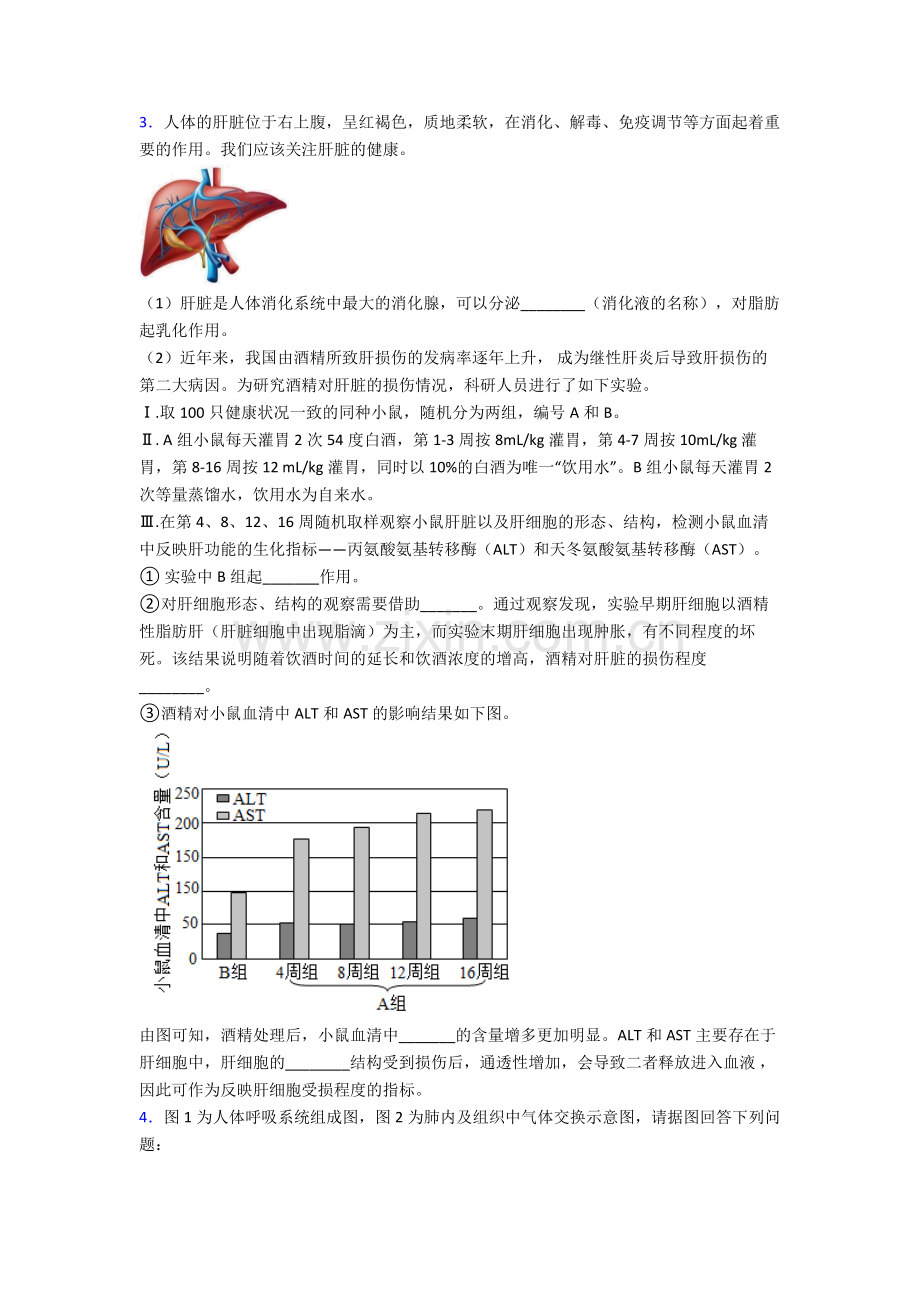 人教版中学七年级生物下册期末解答实验探究大题考试题(附解析).doc_第2页
