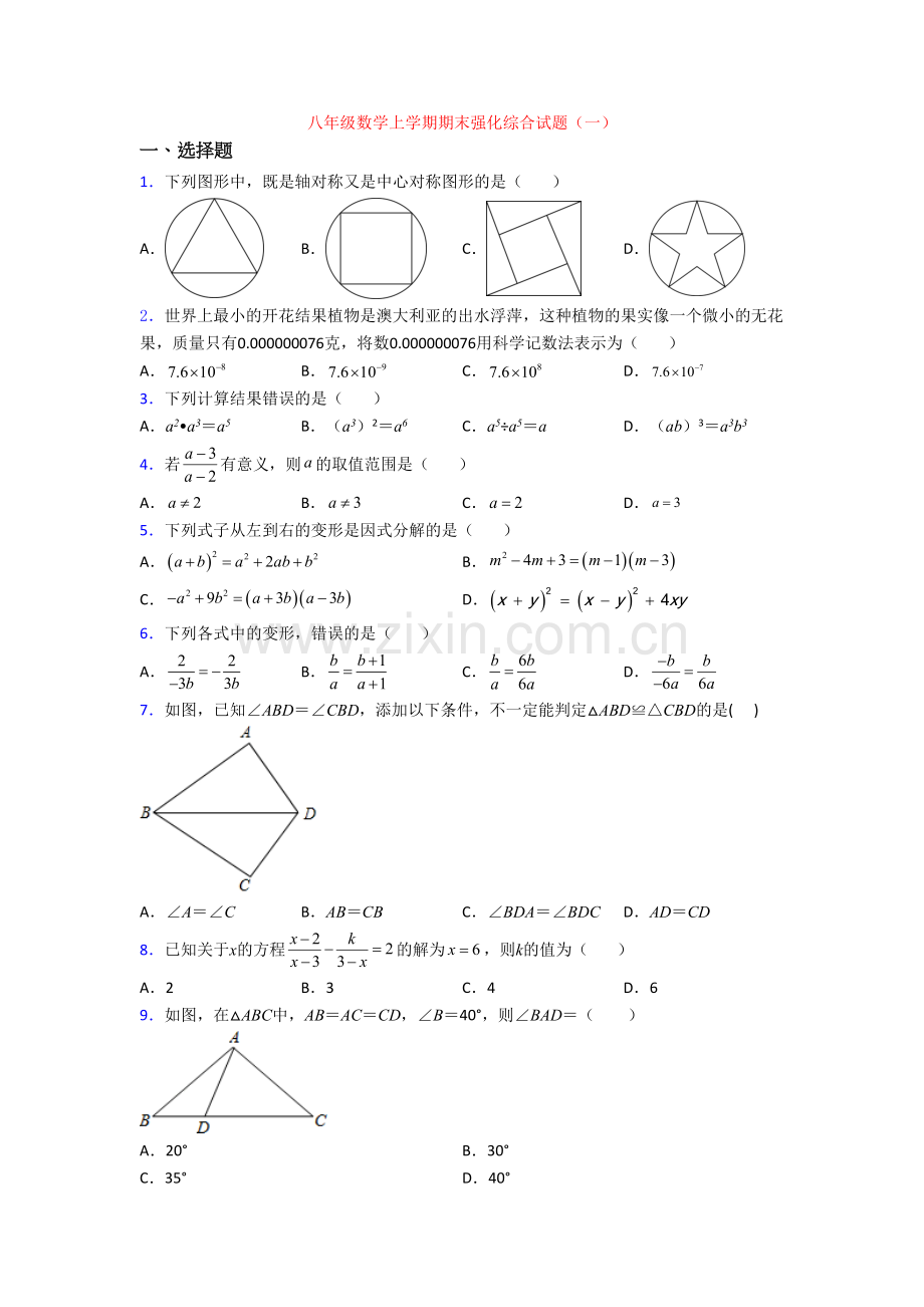 八年级数学上学期期末强化综合试题(一)[001].doc_第1页