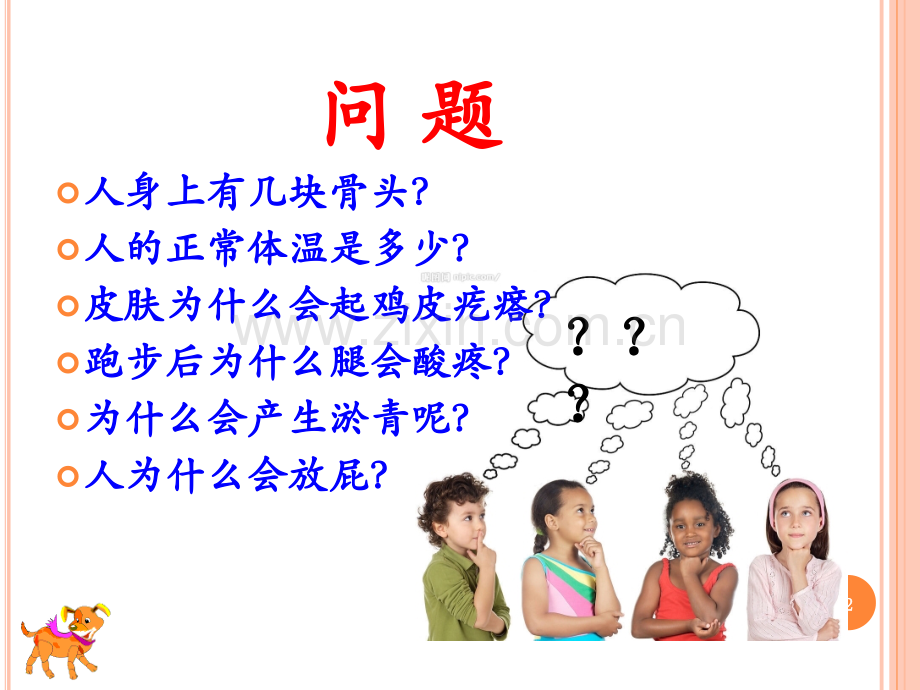 有趣的人体.ppt_第2页