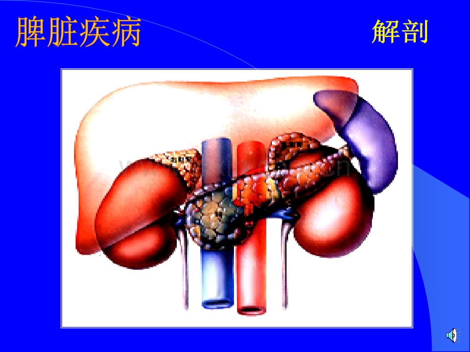 脾脏疾病超声诊断.ppt_第2页