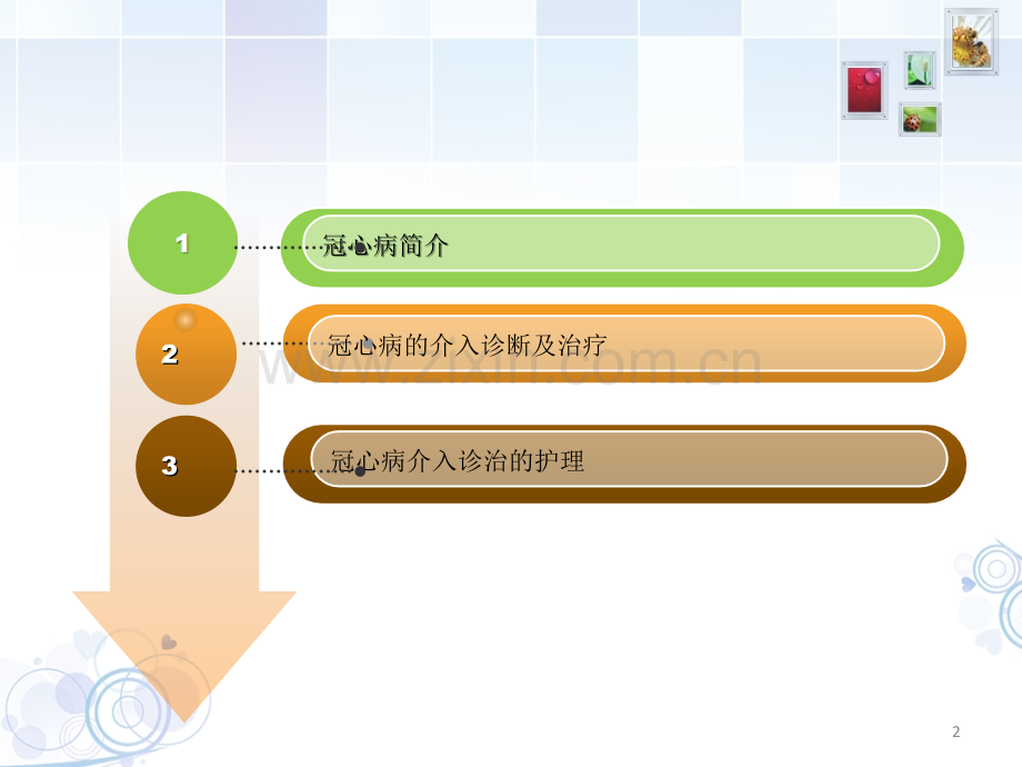 冠脉介入治疗与护理.ppt_第2页