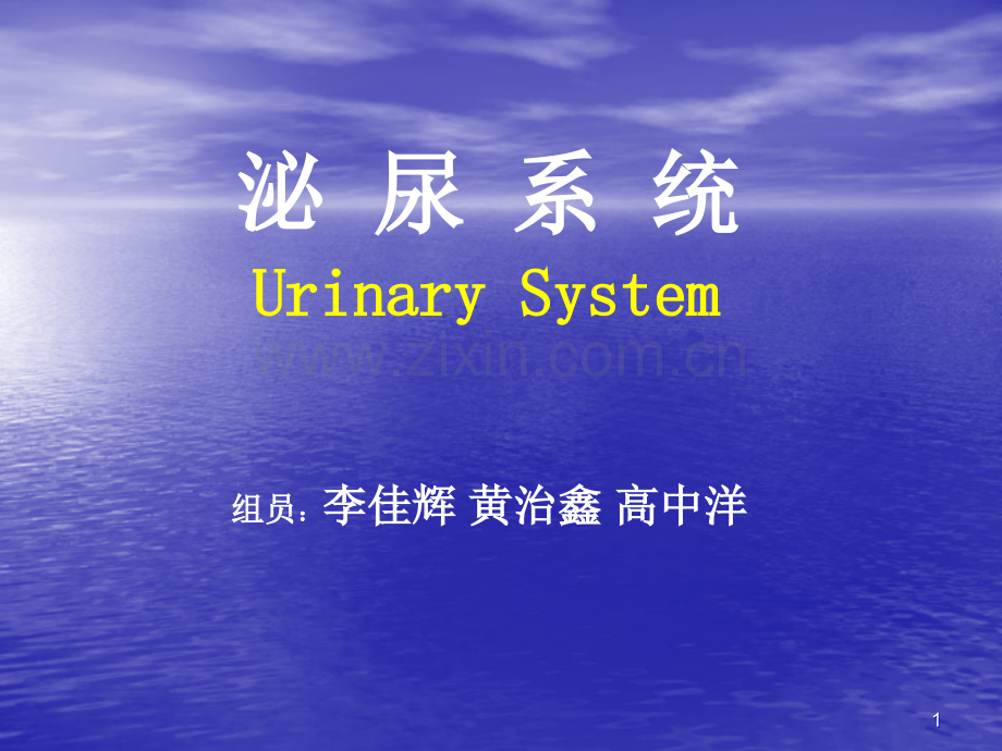 组胚泌尿系统.ppt_第1页