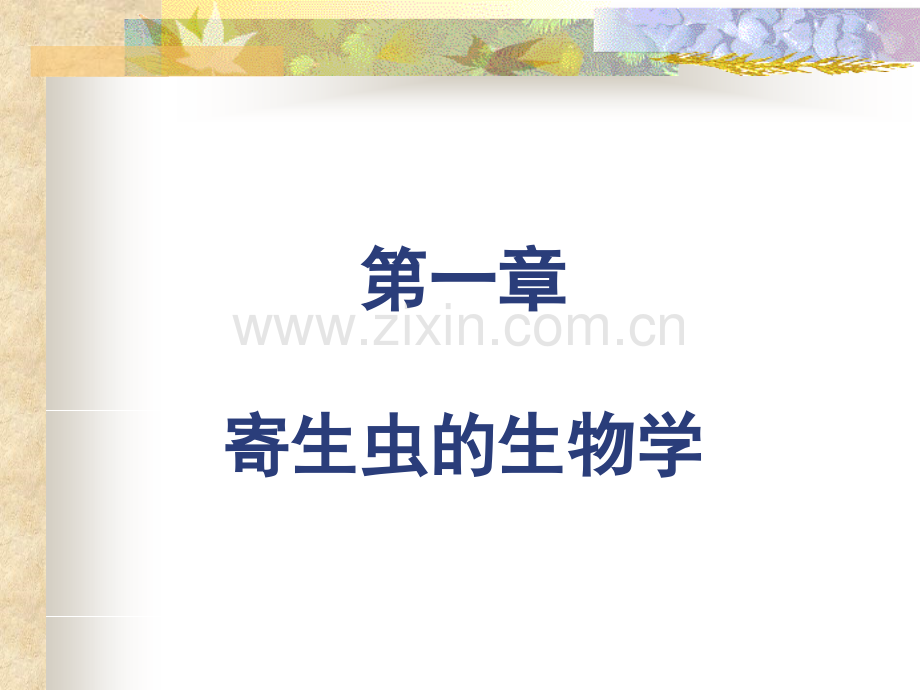 寄生虫病的临床表现.ppt_第2页