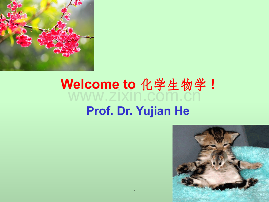 糖类药物进展.ppt_第1页