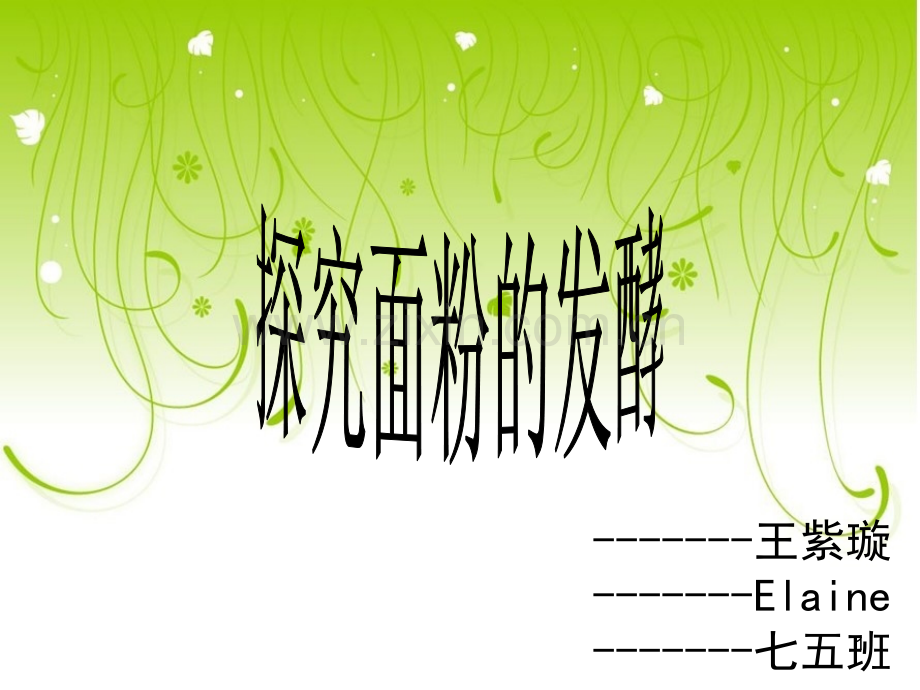 探究面粉发酵.ppt_第1页