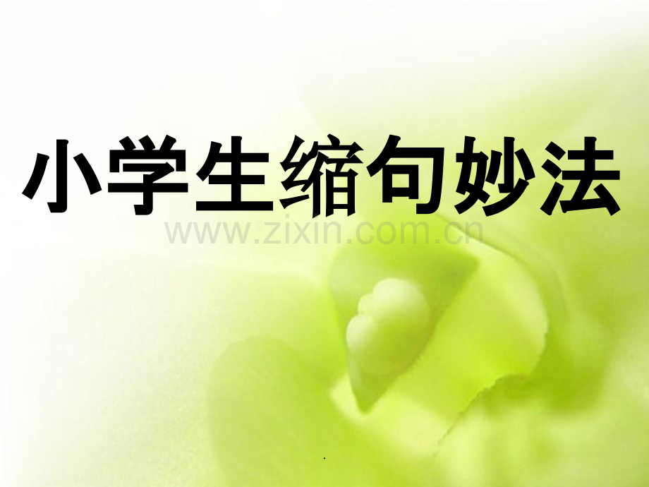 的小学缩句指导及练习(精华版).ppt_第1页
