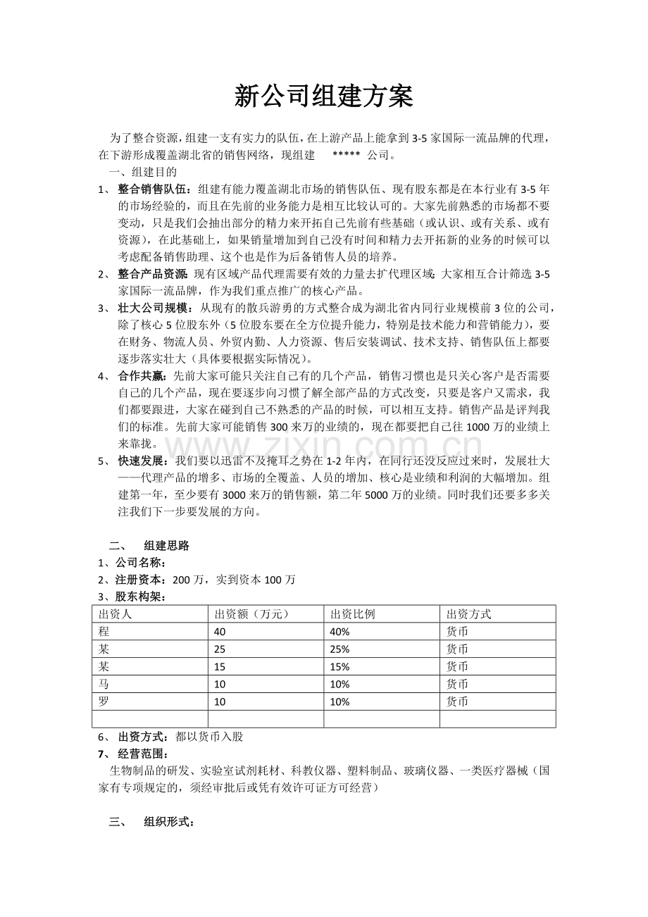 新公司筹建方案模版.docx_第1页