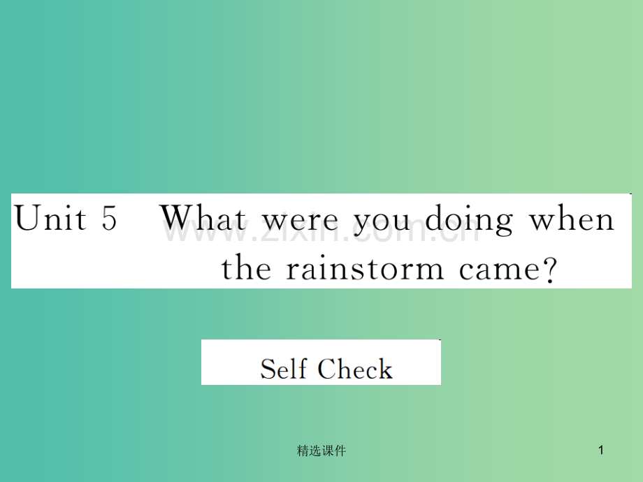 八年级英语下册Unit5WhatwereyoudoingwhentherainstormcameSe.ppt_第1页