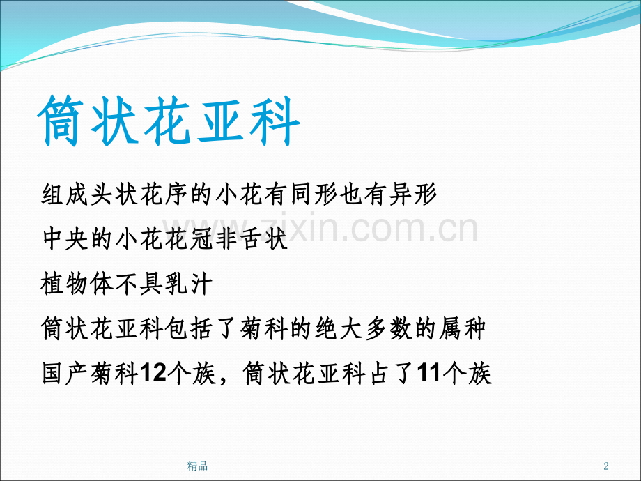 筒状花亚科.ppt_第2页