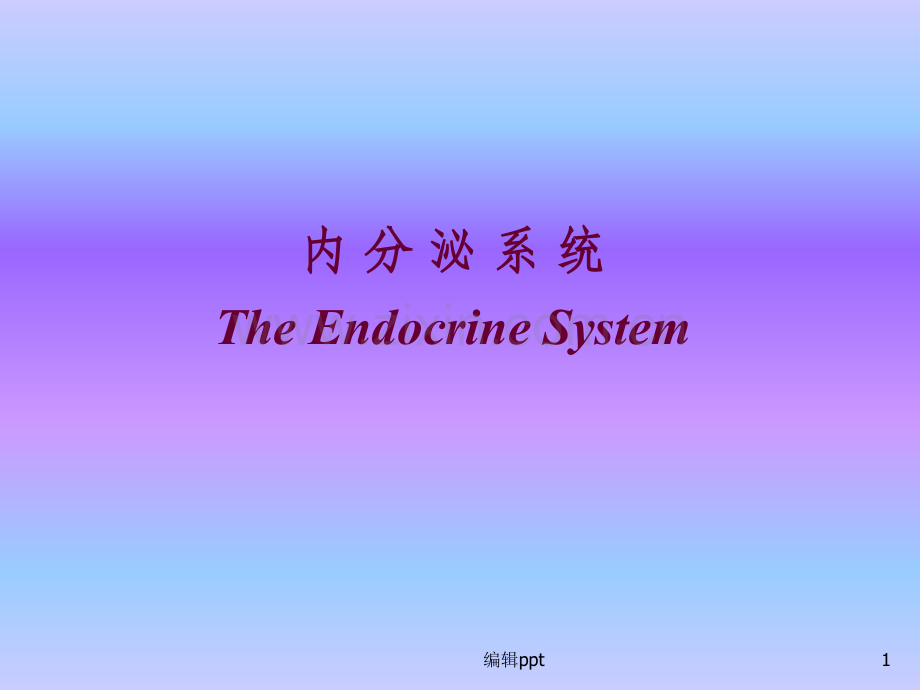 大学动物生物学课件动物第七节.ppt_第1页