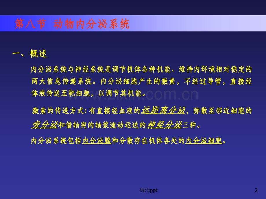 大学动物生物学课件动物第七节.ppt_第2页