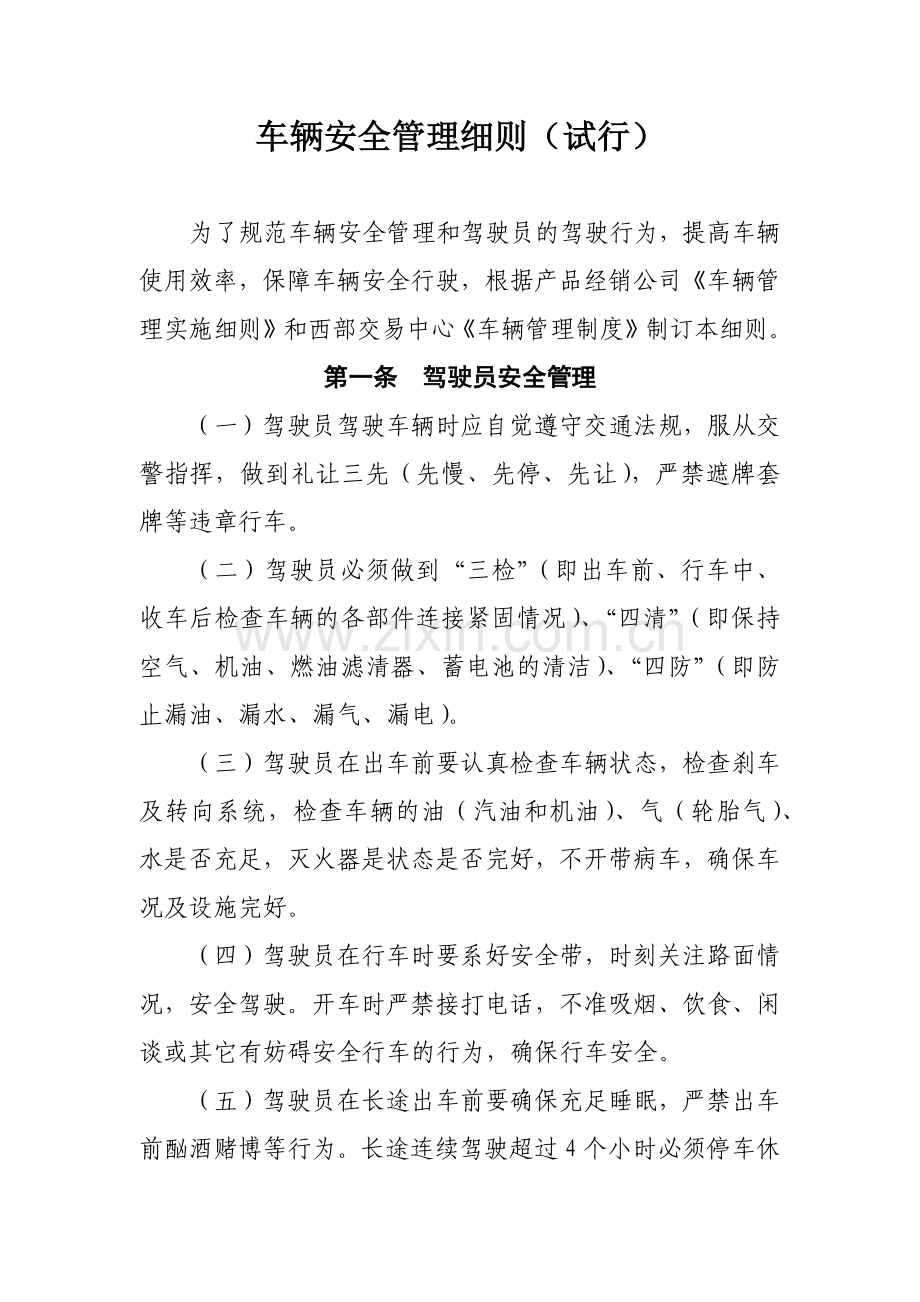 公司车辆安全管理细则(试行)模版.docx_第1页