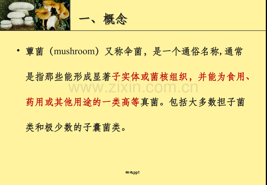 蕈菌生物学-绪论.ppt_第2页