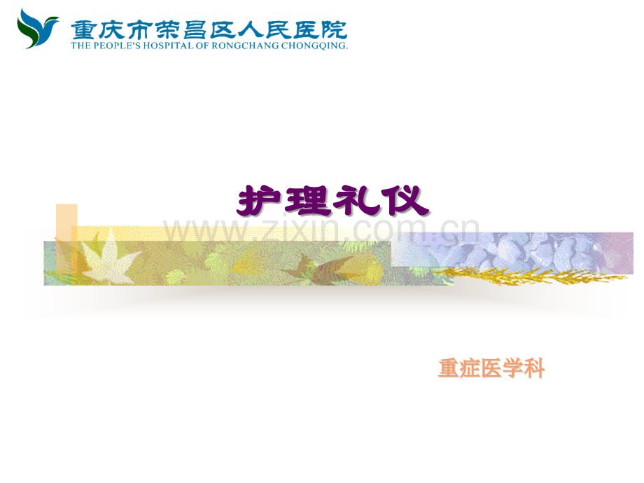 护理礼仪-2.ppt_第1页
