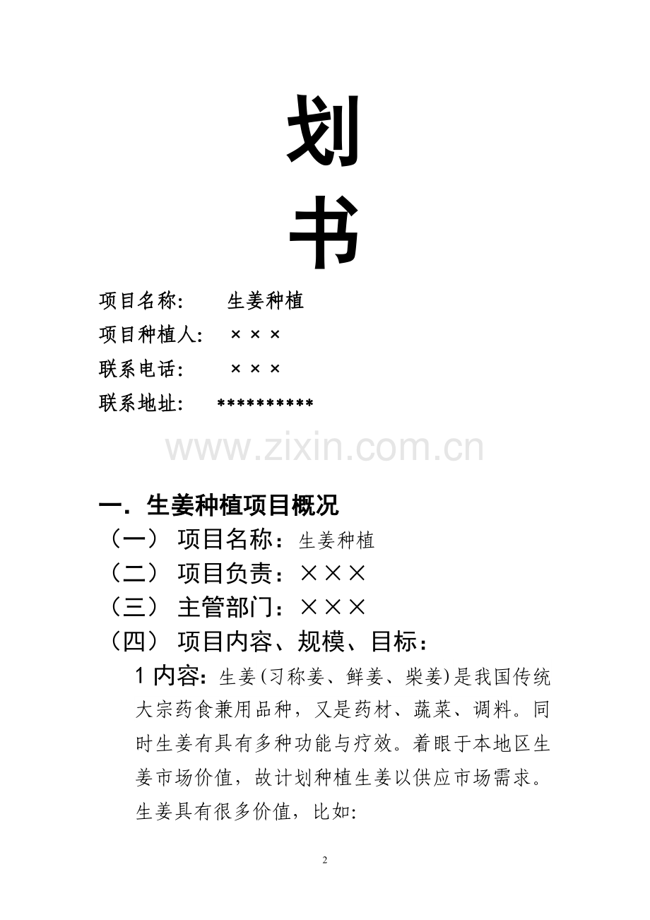 农产品生姜种植项目计划书.doc_第2页