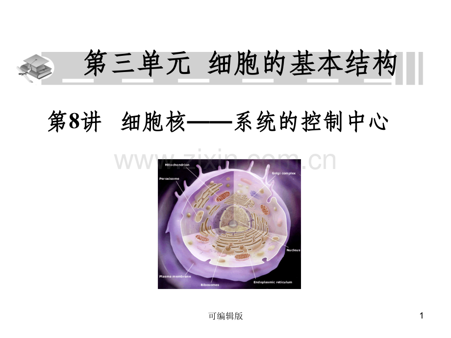细胞核--系统的控制中心.ppt_第1页