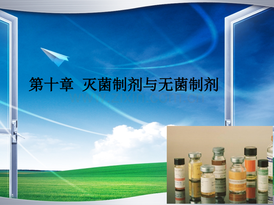 人卫版药剂学第七版-第十章-灭菌与无菌制剂PPT课件.ppt_第1页