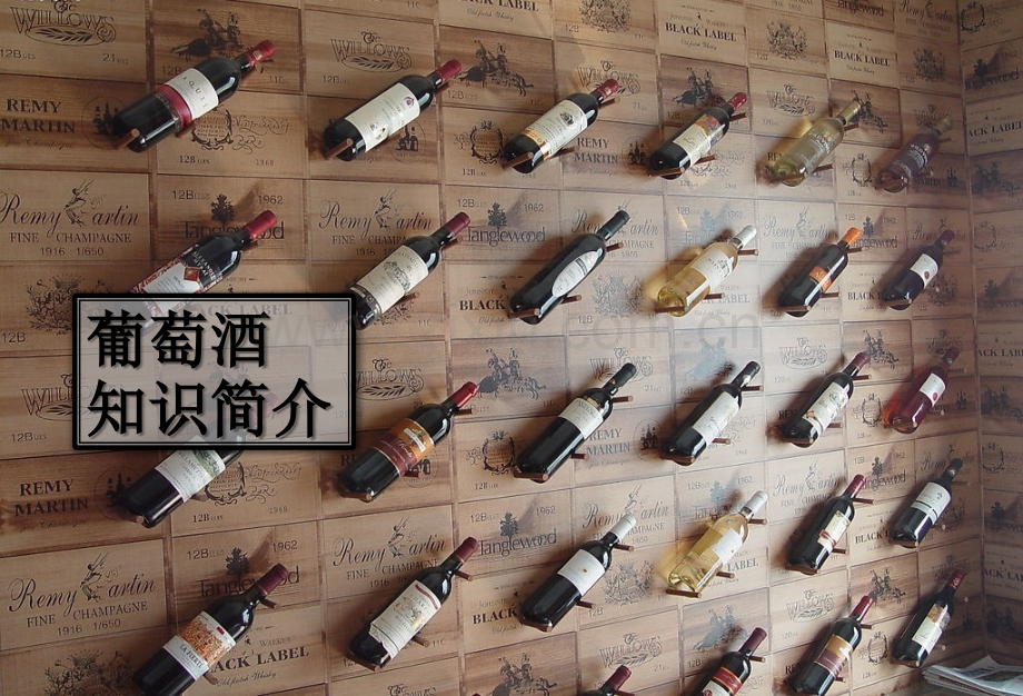 红酒知识培训.ppt_第1页