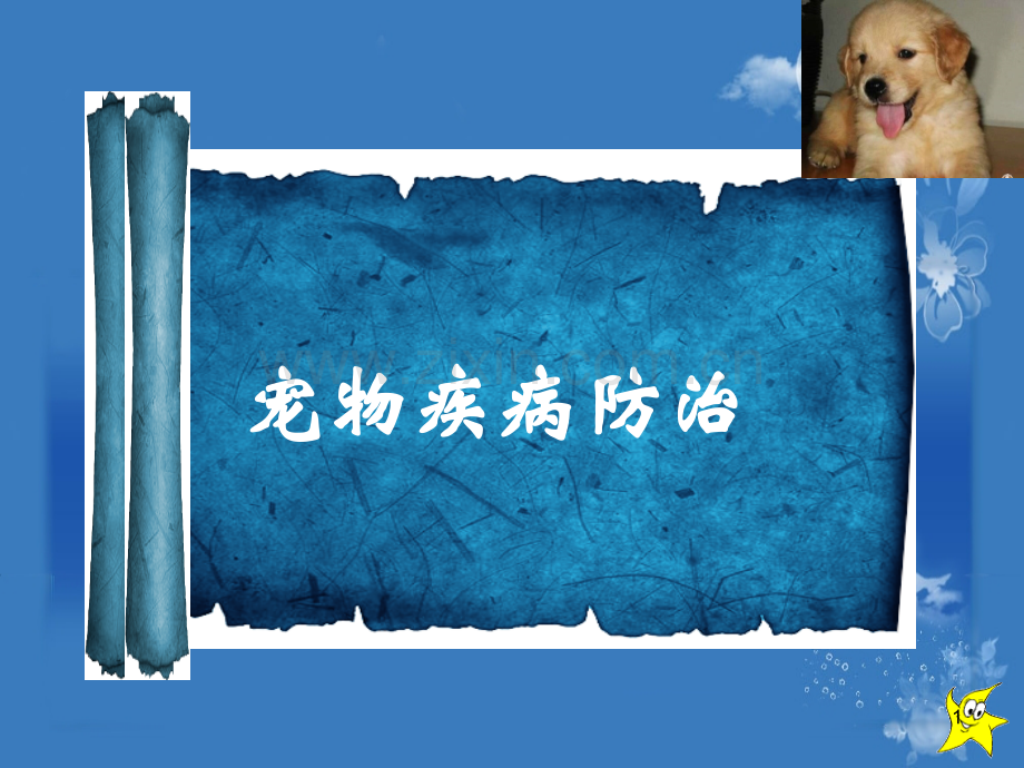 说课宠物疾病防治.ppt_第1页